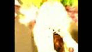 Famous AAA - Psycho Circus  - TRAILER - Net Worth