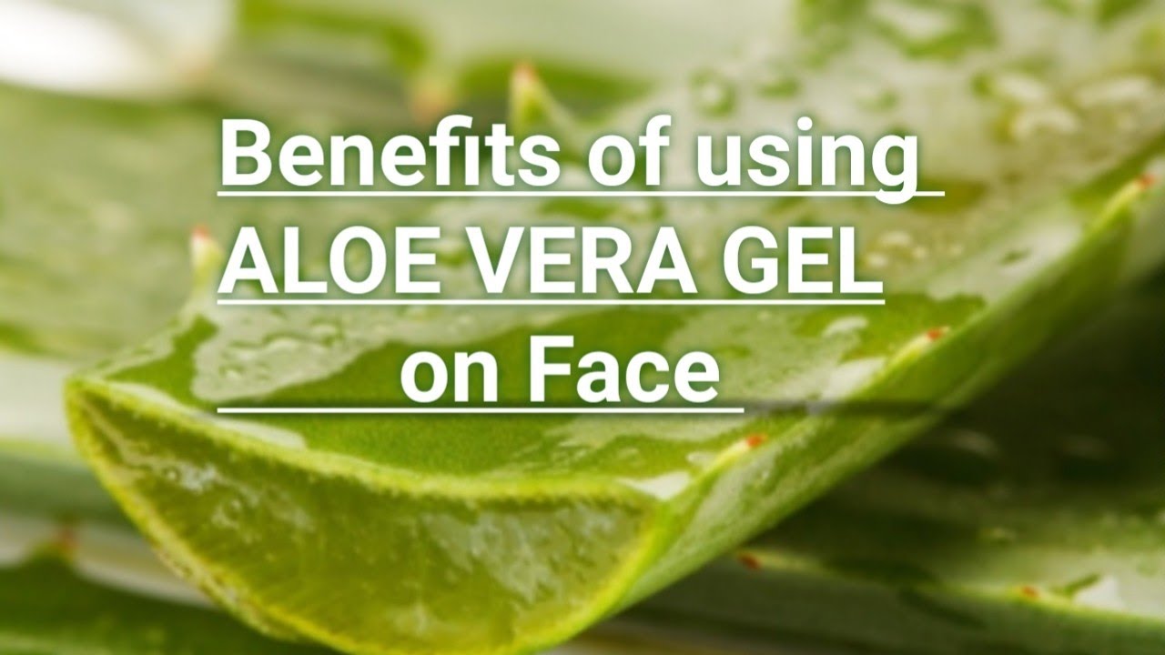 Everyday Uses and Benefits of Applying Aloe Vera Gel Regularly on Face ...
