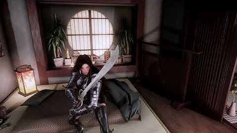 Skyrim Mix Animation - Diverse Random Block Idles LE/SE (Dynamic Animation Replacer)