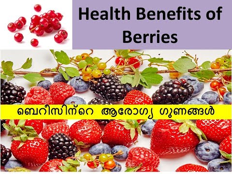 169. Berries-ആരോഗ്യ ഗുണങ്ങൾ|Health Benefits of Berries #strawberry#Gooseberry#medicaltrustkulanada