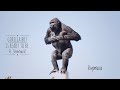 Gorilla Boy Wants To Be As Big As His Dad Shabani | Higashiyama Zoo