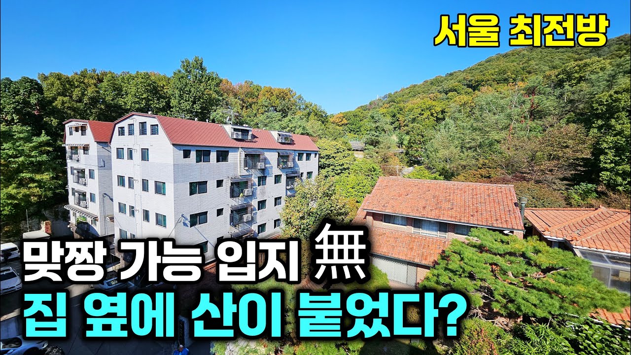 서울 은평구 앵봉산에 자리잡은 주택, 숨쉬는 것만으로 건강해지는 집