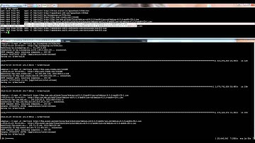 Wget test / dedicated server