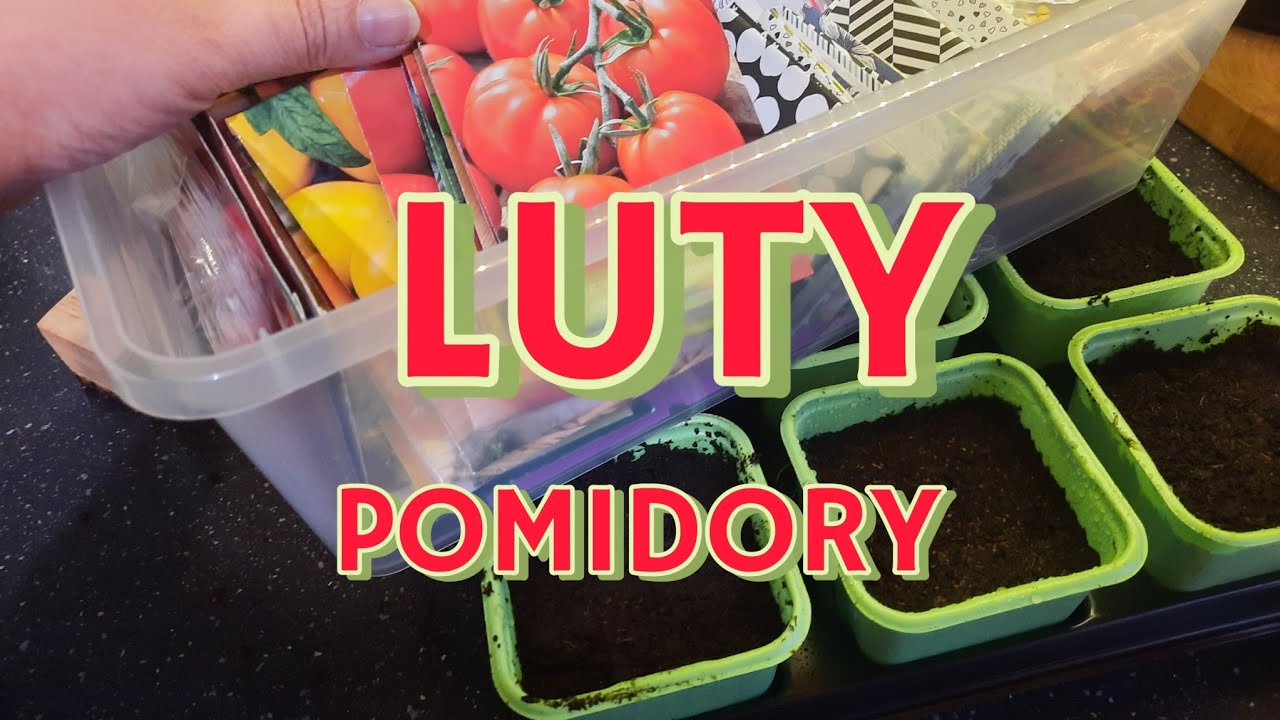 LUTY CO JESZCZE WYSIEWAM 🌱 PIERWSZE POMIDORY 🌱 CZY TO JUŻ CZAS NA WYSIEW. 
