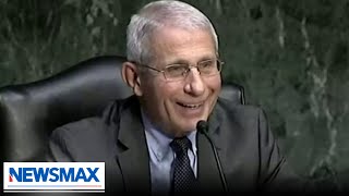 Fauci is a punk | Madison Cawthorn | American Agenda