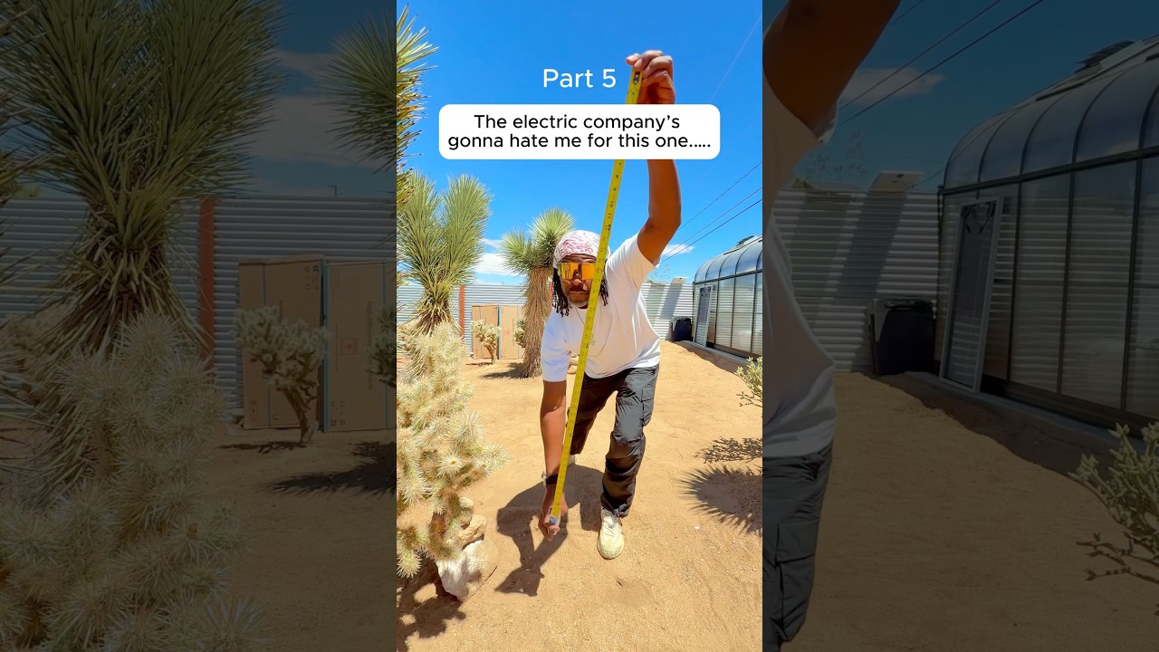 The electricity company is gonna hate me for this&hellip; Green House In The Desert part 5 #growingfood