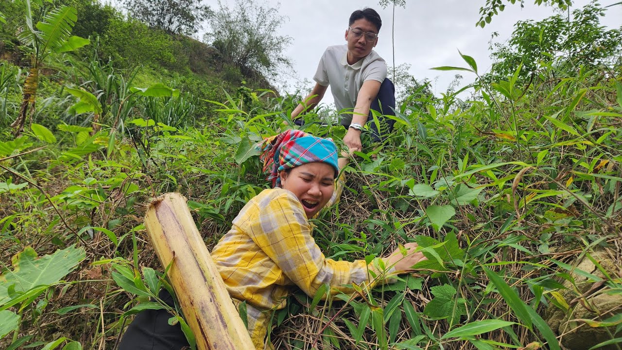 What happened between the prosecutor and the young girl Lindan? Let's watch together! Lý Tử Lindan