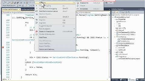 20100725 - VS2010 - Immediate Window