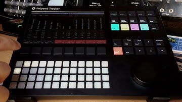 Stazma - Loop Torture (Polyend Tracker Sample Pack Clip)