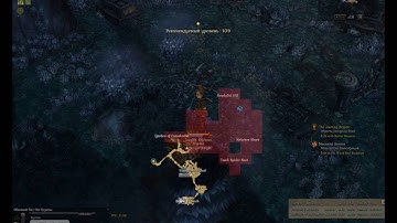 Tree of Savior - Collection: Owl Burial Ground