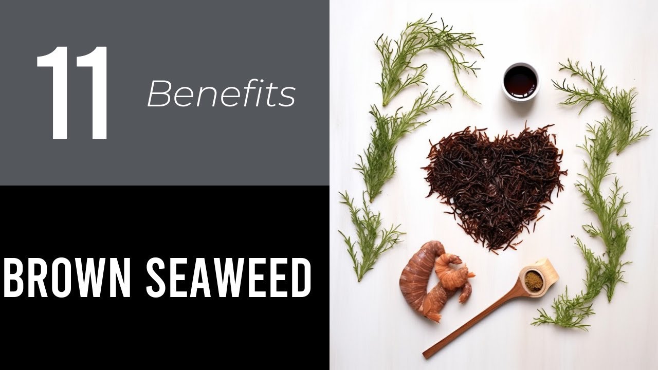 11 Wonders of Brown Seaweed