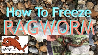 How to Freeze Ragworm