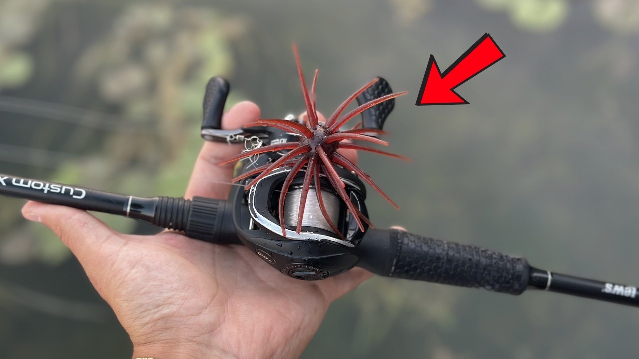 This Bait Has TAKEN OVER Fishing!