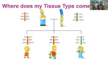 MATCHING FOR TRANSPLANT - A GUIDE TO COMPATIBILITY AND BLOOD TESTS