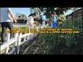 Primus Science Class 12: "How Stem Anatomy Makes Tomato & Pepper Grafting Work"