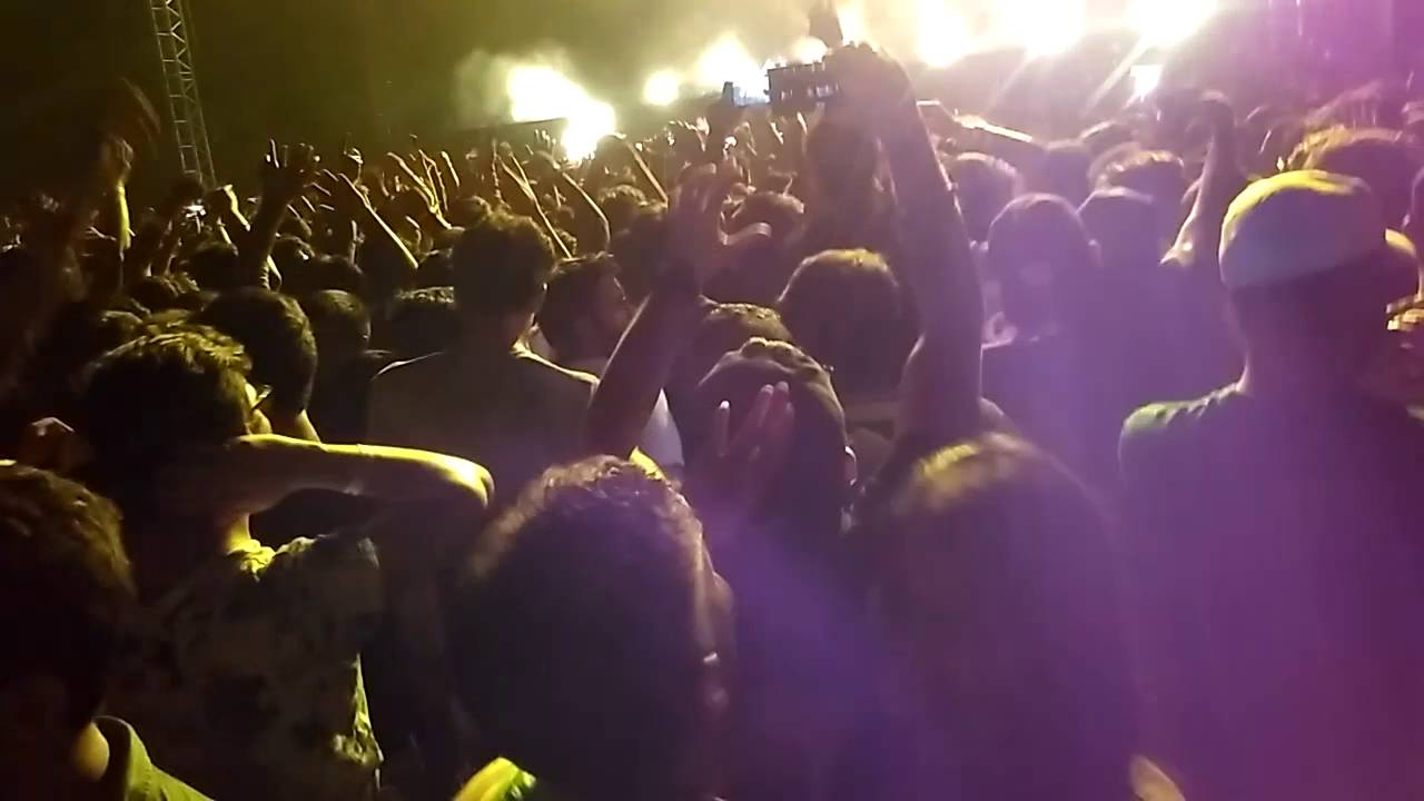 Sunburn Delhi 2016 - Dance P & a