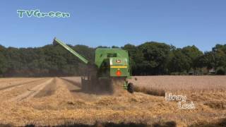 Combine - Tarweoogst Uddel - Harvesting in the Netherlands