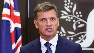 Angus Taylor achieves ‘good start’ to the ‘long, hard road’ back to government