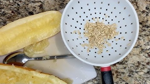 Save Cucumber Seeds to Plant Next Year