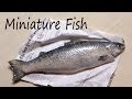 Realistic Miniature Fish / Salmon - Polymer Clay Tutorial