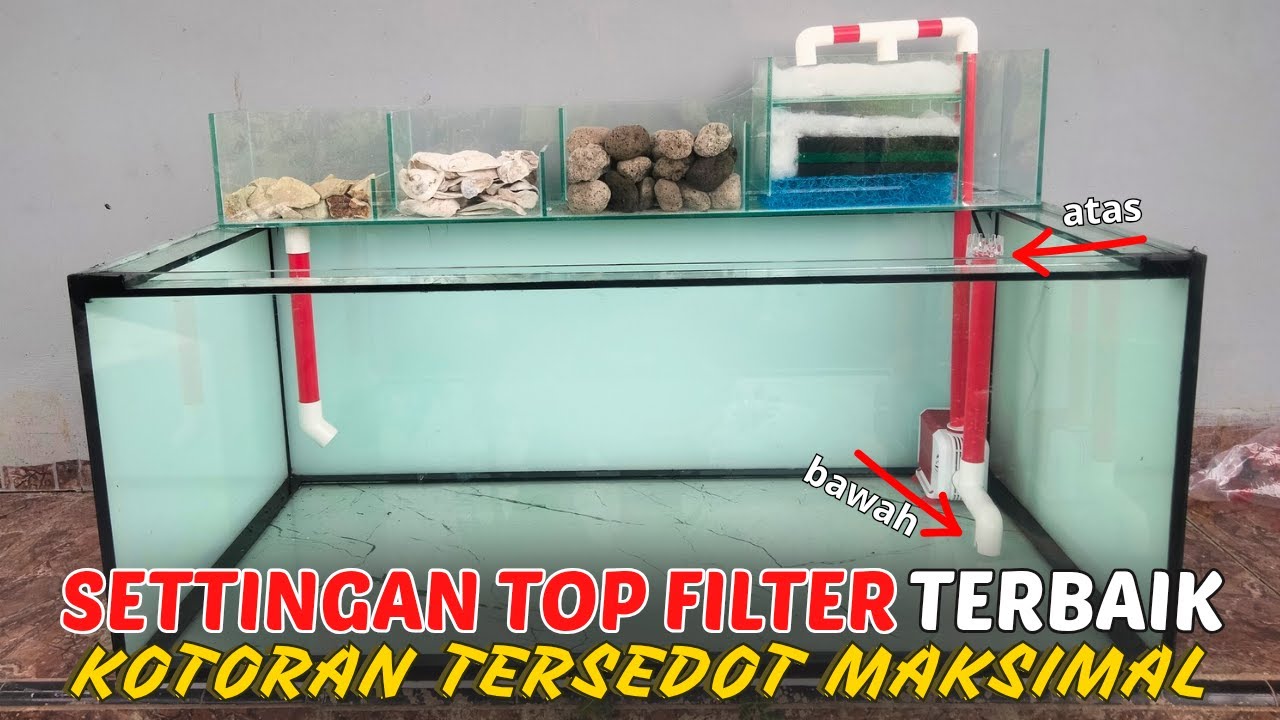 Setting Top Filter Seperti Ini Kotoran Tersedot Maksimal
