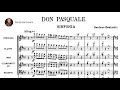 Miniature de la vidéo de la chanson Don Pasquale: Sinfonia