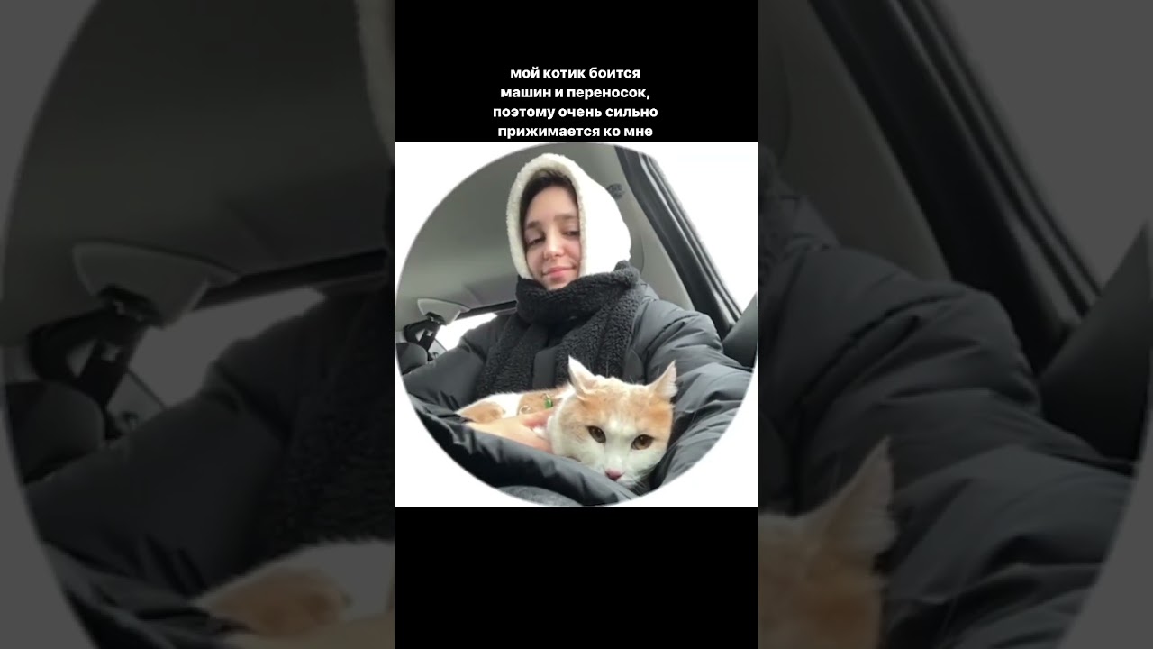 Katy Night - Проснись (альбом На грани)