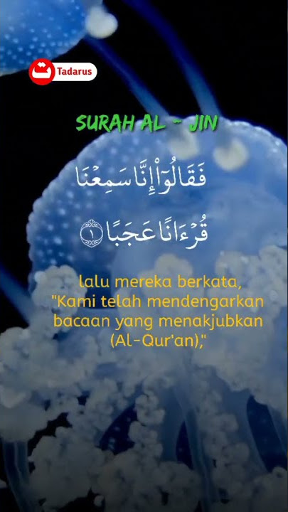SURAH AL-JIN | Taqy Malik #surahaljinn  #taqymalik #tadarusbersama #videoshort