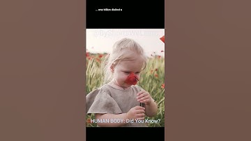 Scent-Sational Power of the Human Nose | HUMAN BODY: Did You Know? | Fascinating Trivia Series