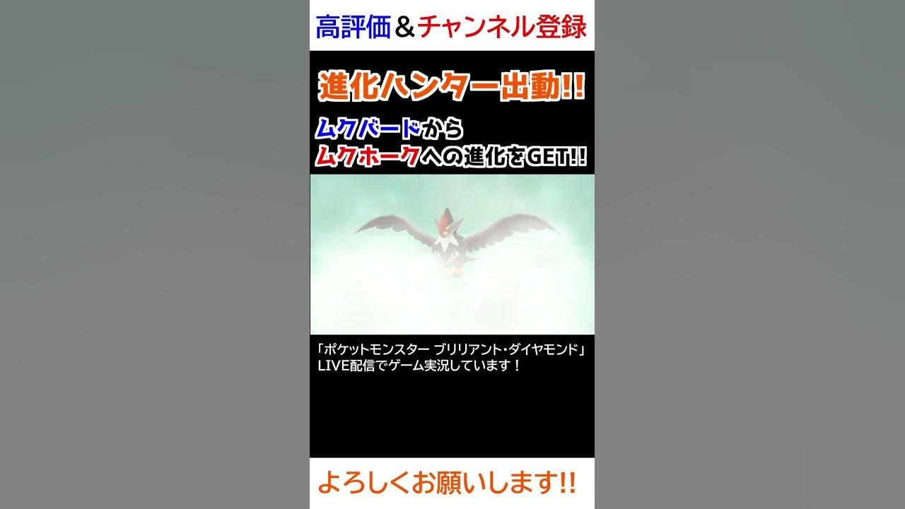 ムクバード ムクホーク進化 ダイパリメイク 進化ハンター Youtube ムクバード ムクホーク進化 ダイパリメイク 進化ハンター Youtube