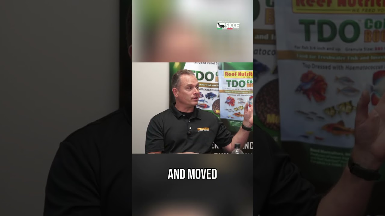 Sold Everything, Moved to Hawaii! My Crazy Journey #shorts