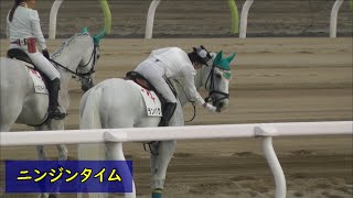 ランパク　誘導馬になっていた