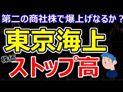 【東京海上】バフェットと資本業務提携で株価ストップ高、割安銘柄として第2の商社株の爆上げ銘柄に成長鳴るか？任天堂 スイッチ2が売れない、【日経平均反発は安心して買戻しチャンスか
