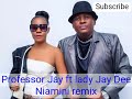 Professor Jay Ft Lady Jay Dee Niamini Remix