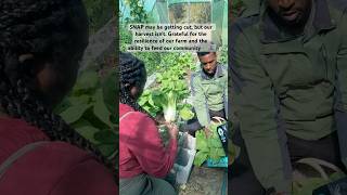Snap Benefits Cut? Our Farm Is A Grocery Store