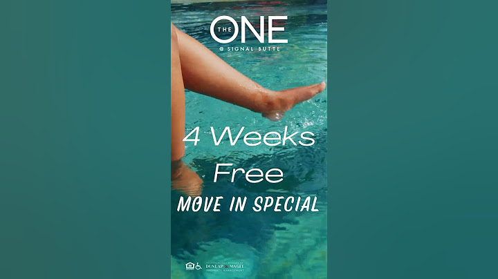 Dive into summer fun with us!