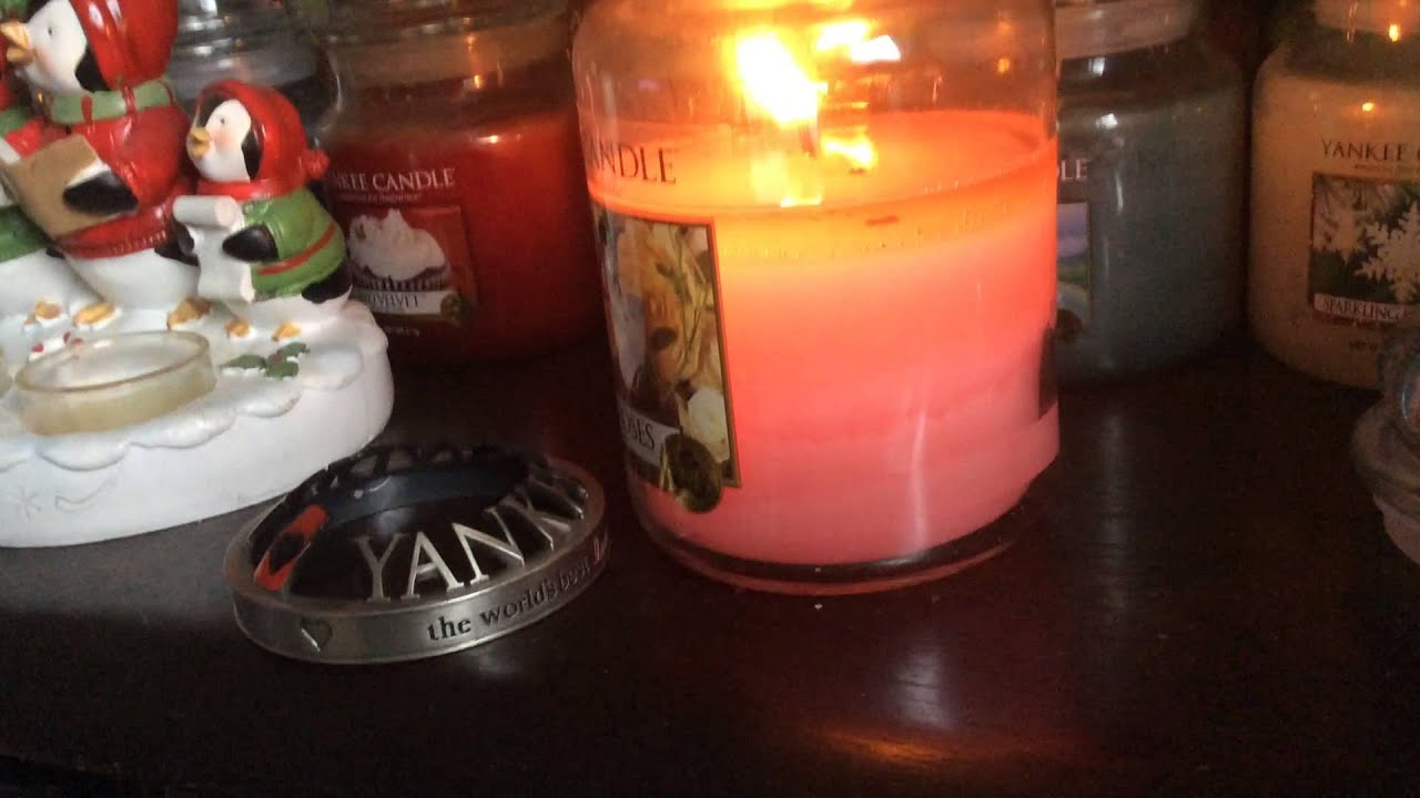 Today's burn is Yankee candle fresh cut roses YouTube