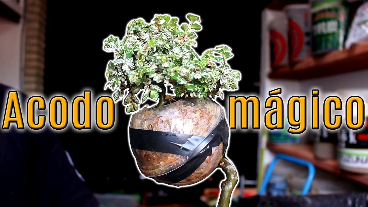 Acodo aéreo con cápsula esférica