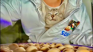 朝9時｜99%眠くなる