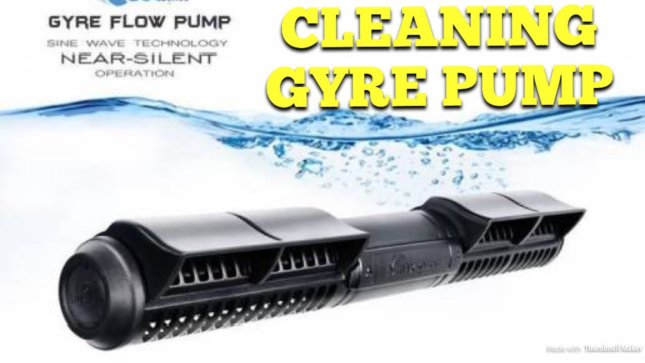 Cleaning Gyre 300 Series Pump YouTube