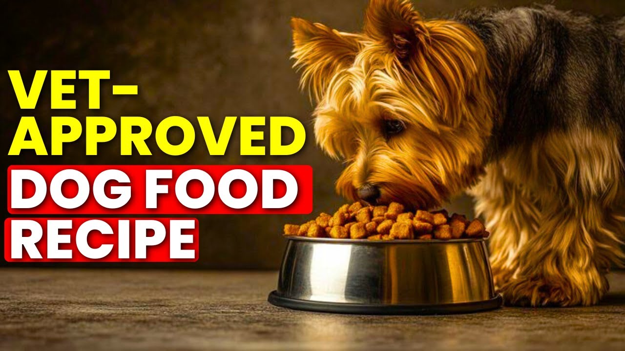 Рецепт домашнего корма для собак, одобренный ветеринаром || Безопасный, полезный и простой в приг...