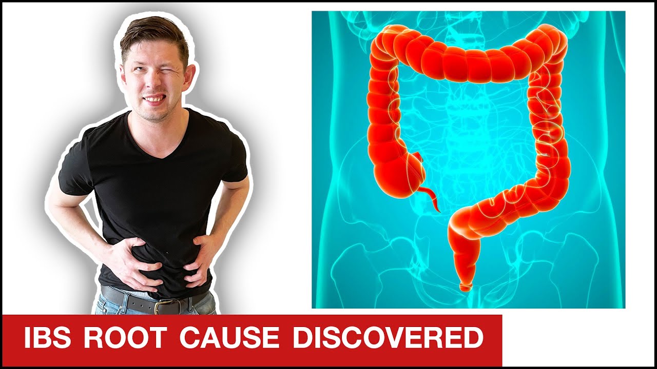 How To Fix IBS VERY FAST Irritable Bowel Syndrome YouTube How To Fix IBS VERY FAST Irritable Bowel Syndrome YouTube