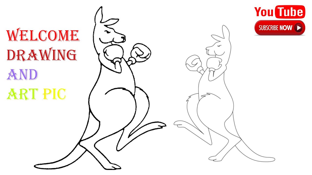 Great How To Draw A Boxing Kangaroo  Check it out now 