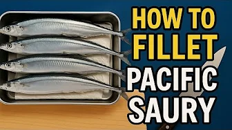 How to Make Sanma Sashimi | Daimyo Oroshi, Skinning & Filleting Pacific Saury