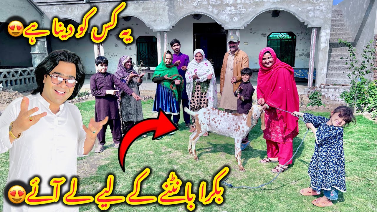 Big gift😍Aj hum bakra ley aaey😍ye bakra kis ko Dena hy🤔Altaf Ali Balouch