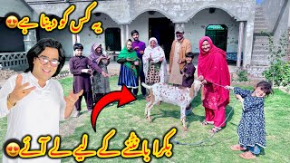 Download Lagu Big gift😍Aj hum bakra ley aaey😍ye bakra kis ko Dena hy🤔Altaf Ali Balouch MP3