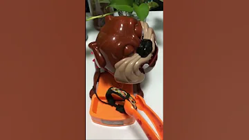 ASMR Maddog Toys Shortsfeed 