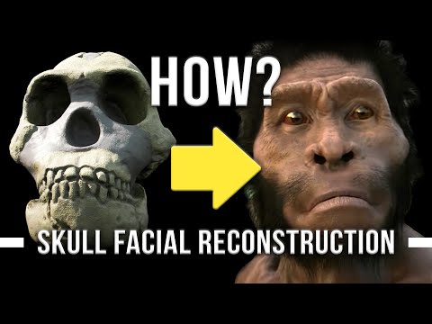 Видео: Reconstructing the Face of a Prehistoric Human - Homo naledi | Gerasimov's Technique