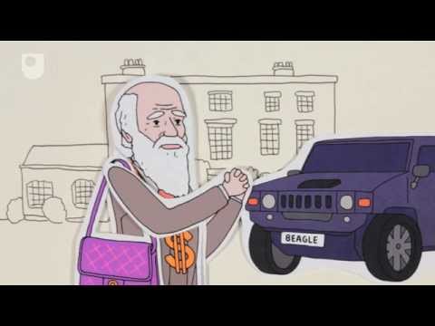 Patterns of Life – Charles Darwin and Game theory (#1/5) Instructional Video Patterns of Life – Charles Darwin and Game theory (#1/5) Instructional Video