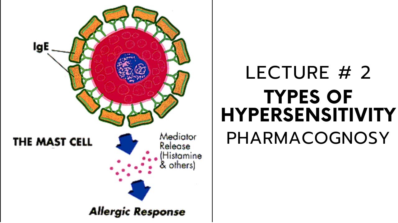 PHARMACOGNOSY || ALLERGY || TYPES OF HYPERSENSITIVITY || LECTURE # 2 ...
